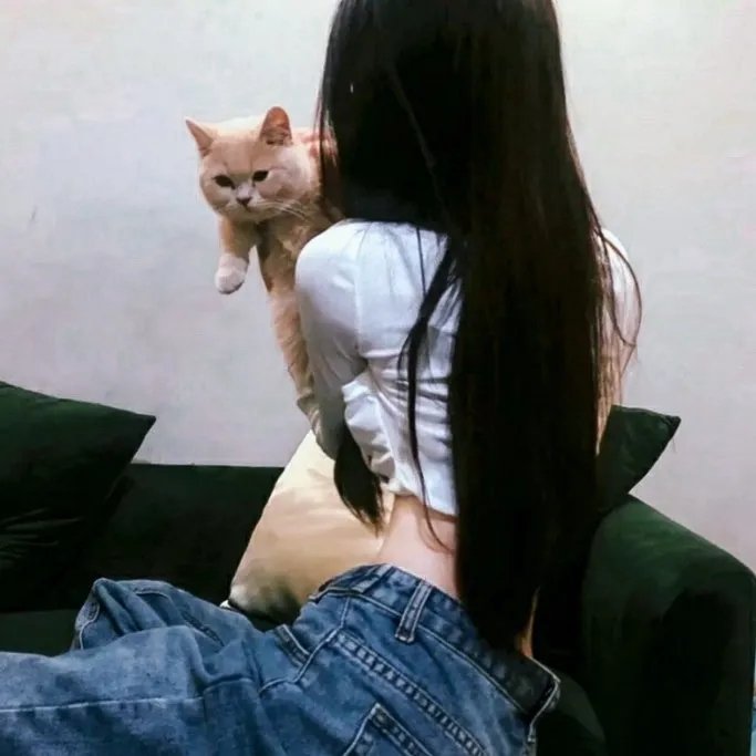 恶补青春